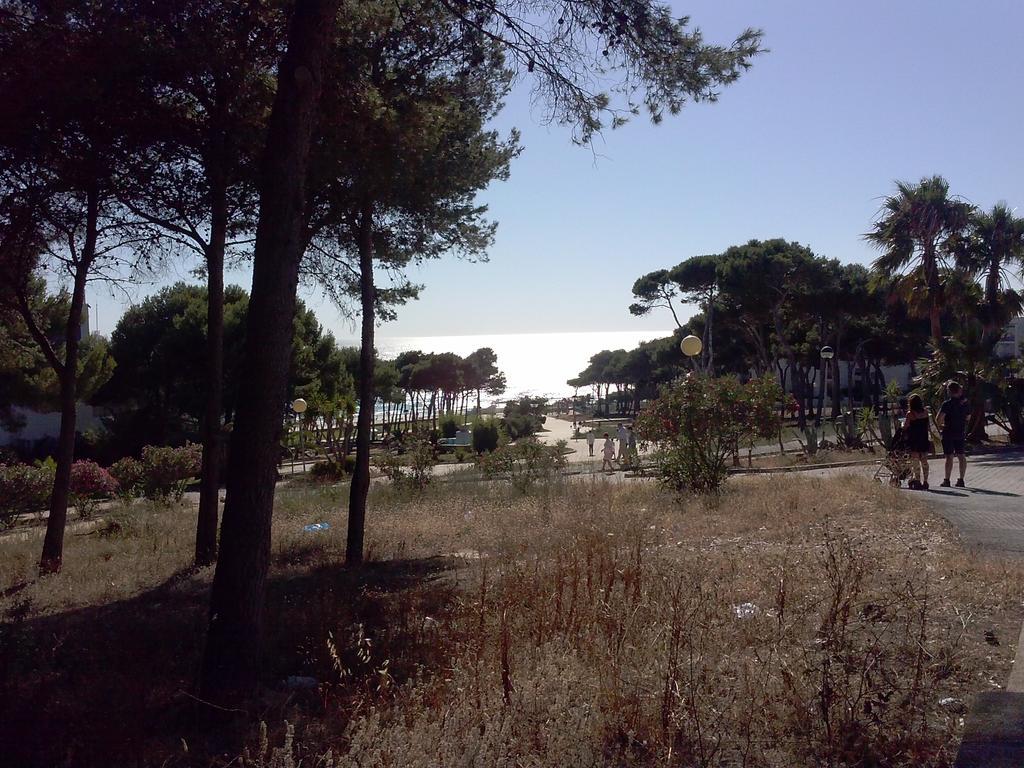 Apartamento La Rotonda C-116 Conil De La Frontera Quarto foto